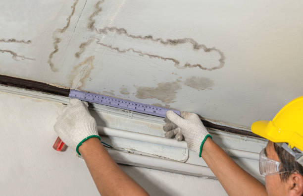 Reliable Basement Water Removal contractor in Atlantic Highlands, NJ by Water Damage Irwin